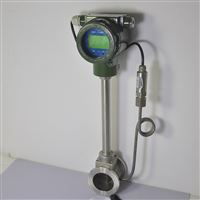 飽和(he)蒸汽渦(wō)街流量(liang)計